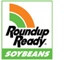 Roundup Ready Soybeans